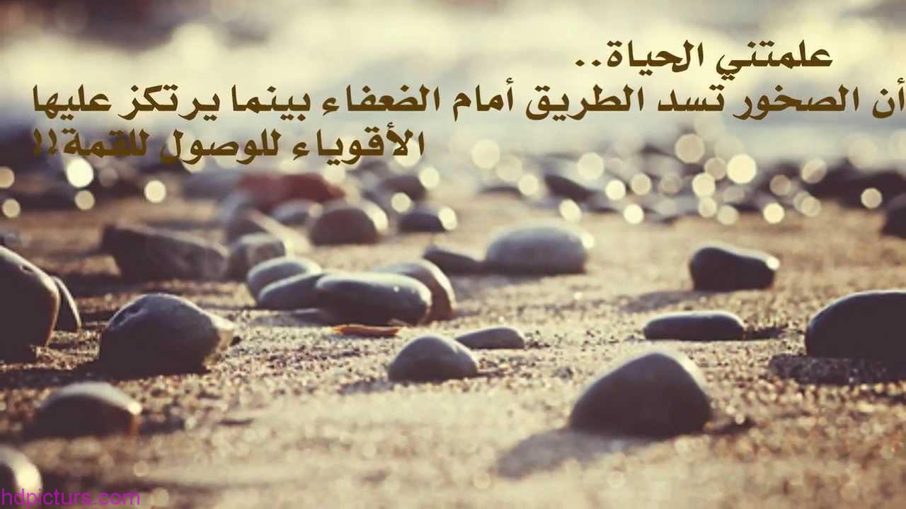 عبارات من الحياة - اشخاص لا يجب عليك معرفتهم 4420 8