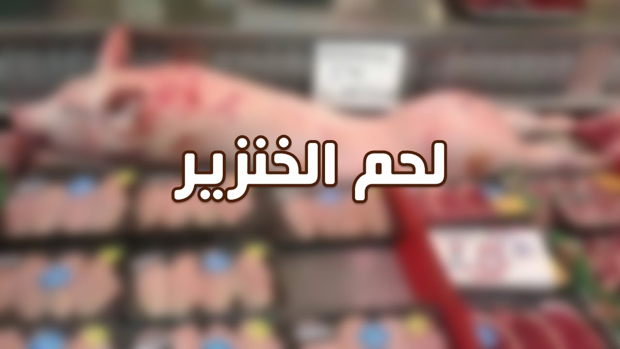 الحكمة من تحريم لحم الخنزير , لحم الخنزير من الخبائث فحرمه الله