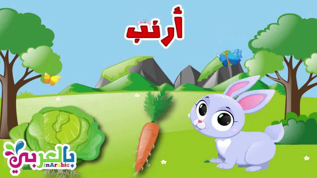 تعبير عن الارنب بالانجليزي 5507 2