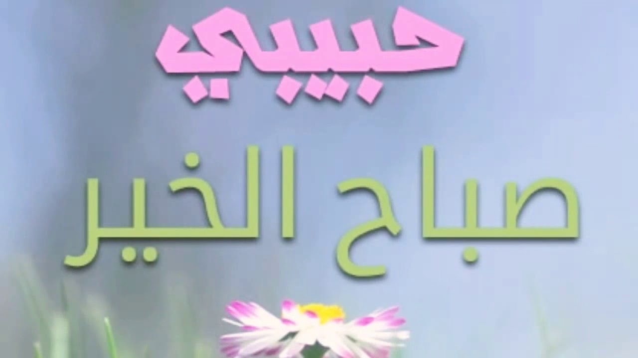 حبيب صباح الخير 5746 1