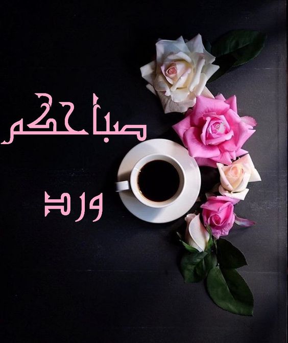 صور صباح الخير ورد - صباح الخير بلغة الورود 1832 7