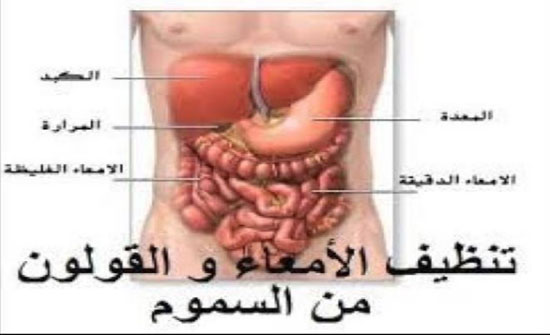 خلطة لتنظيف البطن - وصفات طبيعية لتنظيف البطن 1008 9