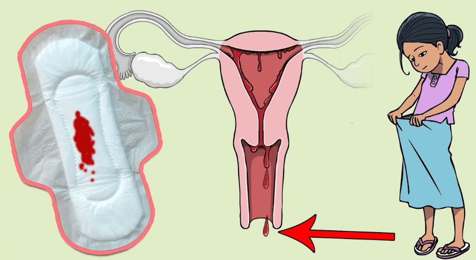ما معنى الدورة الشهرية , ما هى الدورة الطمثية عند النساء