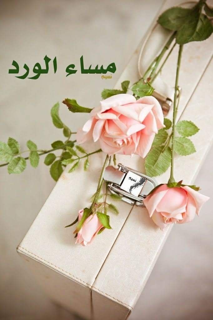 شعر مساء الورد والياسمين - احلى رسائل للمساء 1247 13