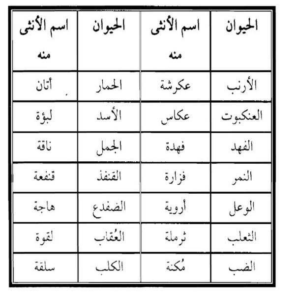 اسماء انثى الحيوانات , ابحار فى عالم الحيوانات