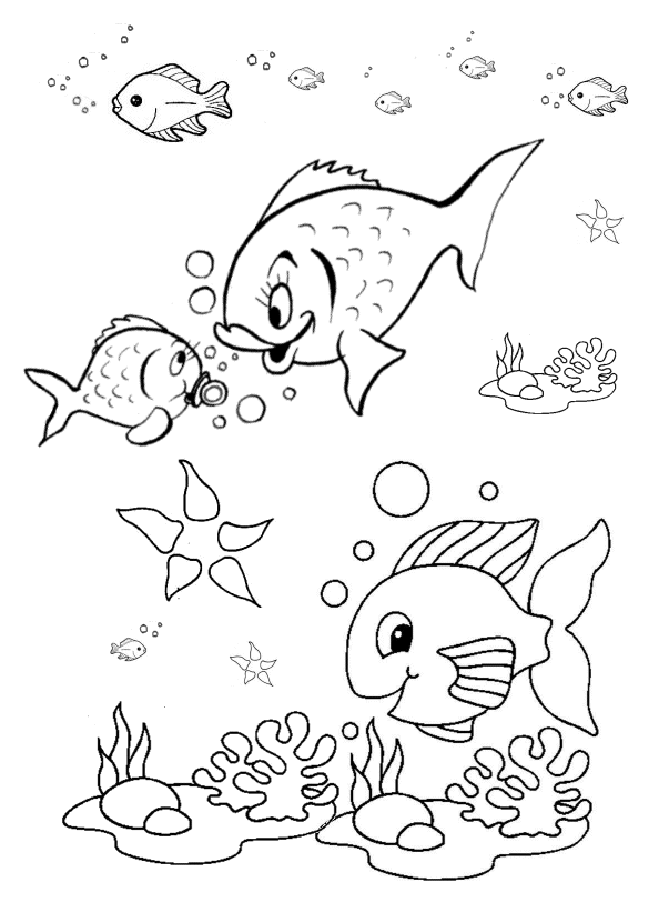 صور رسومات اسماك رسوم ملونة ومزخرفة للاسماك الجميلة اغراء القلوب