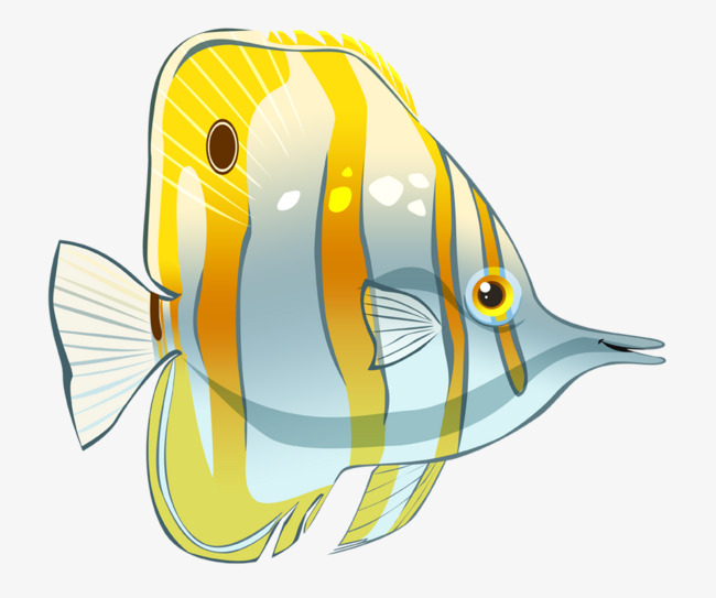 صور رسومات اسماك , رسوم ملونة ومزخرفة للاسماك الجميلة اغراء القلوب