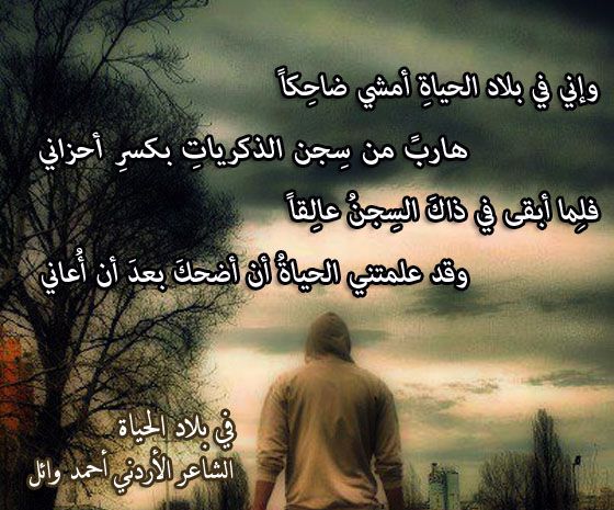 ابيات شعر عن حال الدنيا